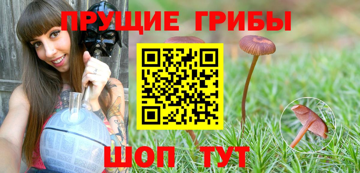 Галлюциногенные грибы GOLDEN TEACHER  Вход с VPN  Ишим 